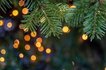 Christmas tree close-up with colorful lights on a background. Shallow depth of field.