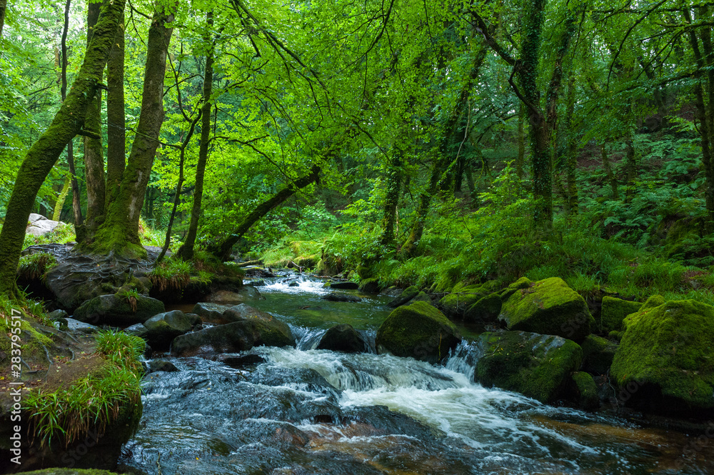 River Fowey and the Golitha Falls River Fowey and the Golitha Falls