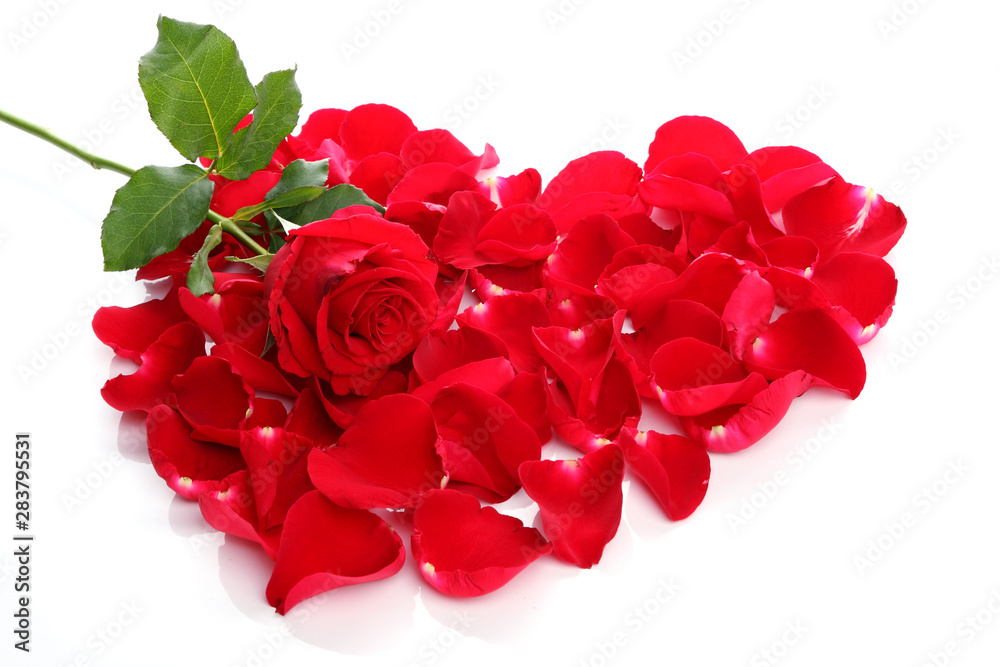 Beautiful heart of red rose petals Beautiful heart of red rose petals