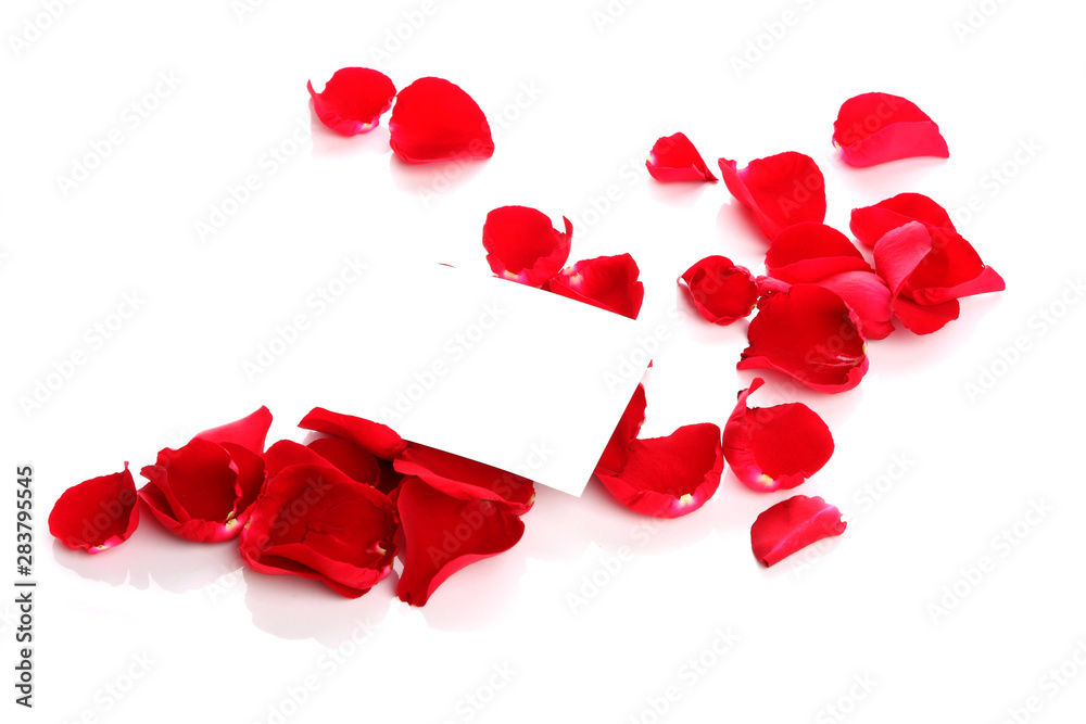 Petals of a rose and blank paper Petals of a rose and blank paper