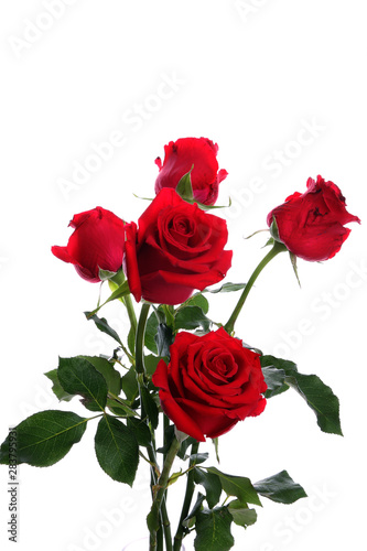 Fototapeta Naklejka Na Ścianę i Meble -  five dark red roses