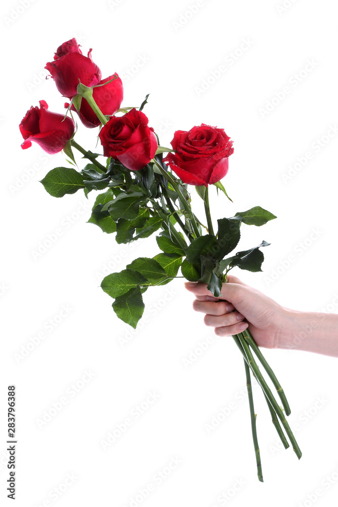 Fototapeta premium hand holding bunch of red roses