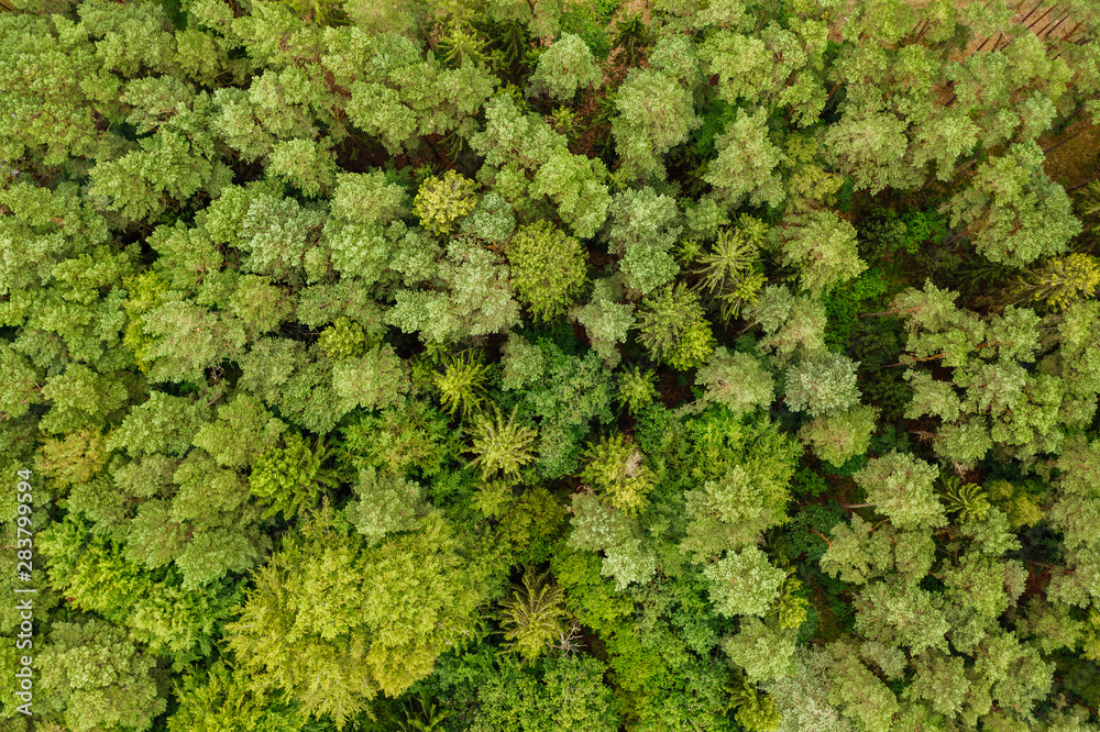 Aerial top-down view of a remote location on the Baltic sea shoreline. Aerial top-down view of a remote location on the Baltic sea shoreline.