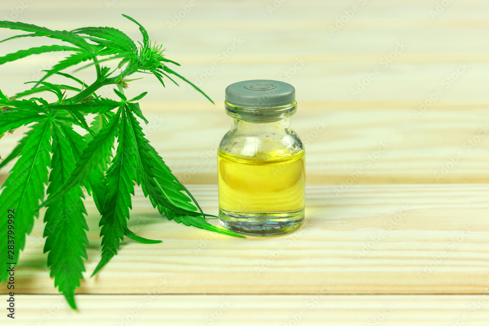 glass bottle with hemp oil among hemp leaves, light wooden background glass bottle with hemp oil among hemp leaves, light wooden background