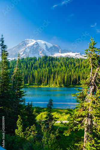 Fototapeta Naklejka Na Ścianę i Meble -  Overlooking a lake and a forest of pine trees with Mt. Rainier looming in the distance at Mt. Rainier National Park.
