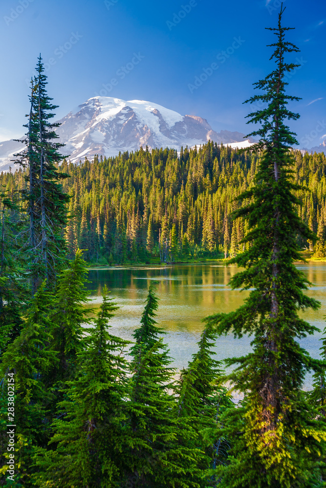 Overlooking a lake and a forest of pine trees with Mt. Rainier looming in the distance at Mt. Rainier National Park.