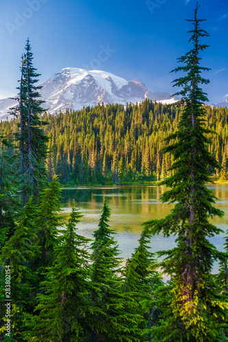 Fototapeta Naklejka Na Ścianę i Meble -  Overlooking a lake and a forest of pine trees with Mt. Rainier looming in the distance at Mt. Rainier National Park.