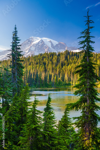 Overlooking a lake and a forest of pine trees with Mt. Rainier looming in the distance at Mt. Rainier National Park. © Don Landwehrle