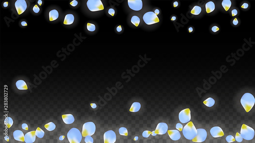 Vector Realistic Blue Petals Falling on Transparent Background.  Spring Romantic Flowers Illustration. Flying Petals. Sakura Spa Design. Blossom Confetti.