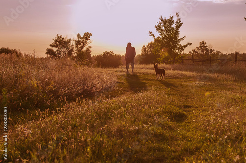 silhouette of a man and a purebred puppy at sunset in the meadow