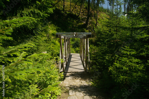 mountain trail with a wooden foot-bridge over the mountain stream in the Krkonose / Giant MOuntains in the trail from the medvedi oudy to the davidovy Boudy in the Karkonoski national Park in the czec photo
