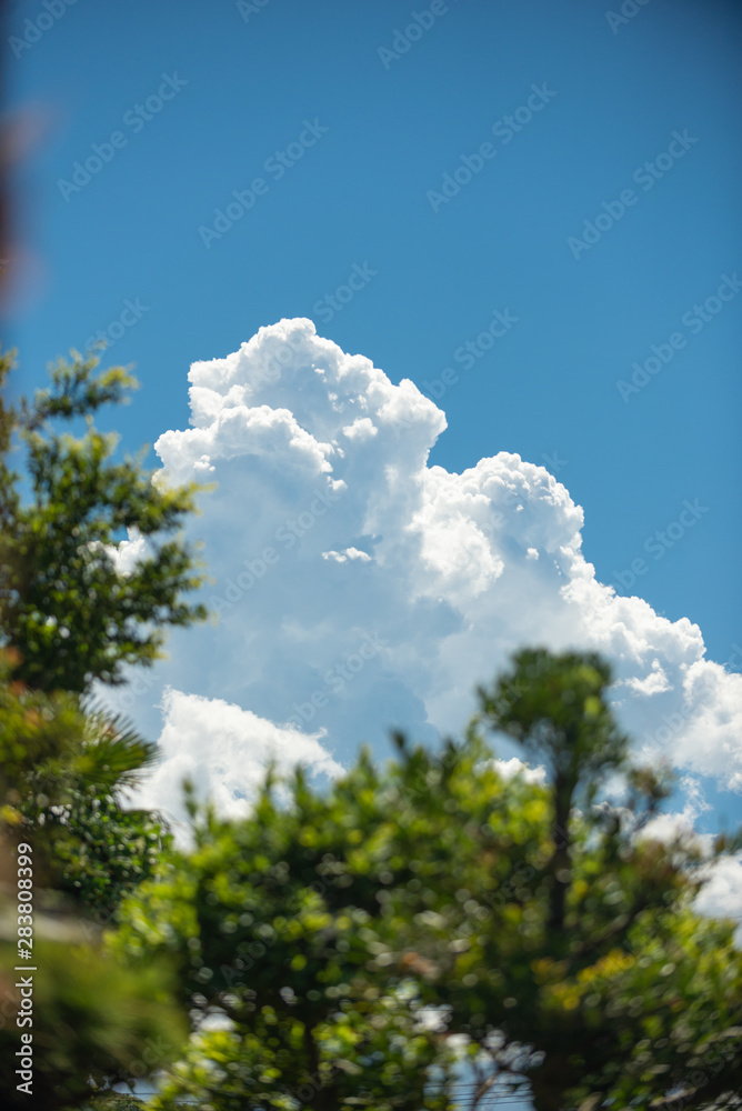 Obraz premium 夏の入道雲