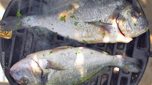  Gilt-head bream dorade grilled nature photo