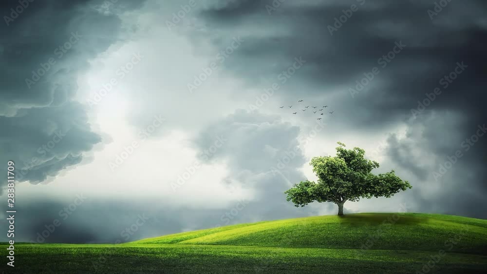 Cinemagraph of green tree in field with storm clouds across sky