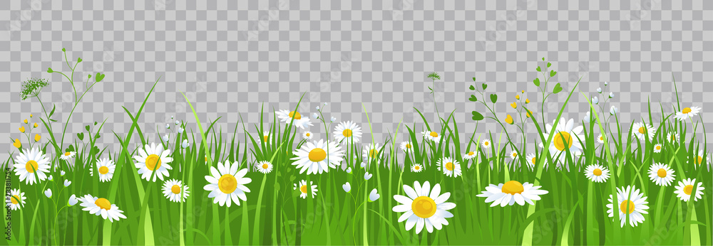 Plakat Kwiaty i zielona trawa.