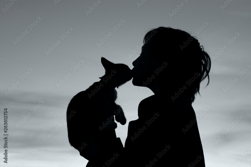 People, animals, pets, childhood concept. Silhouette of an owner and pet. Silhouette of young girl holding a cat, cropped shot. Animals day. 
