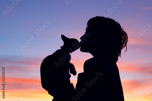 People  animals  pets  childhood concept. Silhouette of an owner and pet. Silhouette of young girl holding a cat  cropped shot. Animals day. 