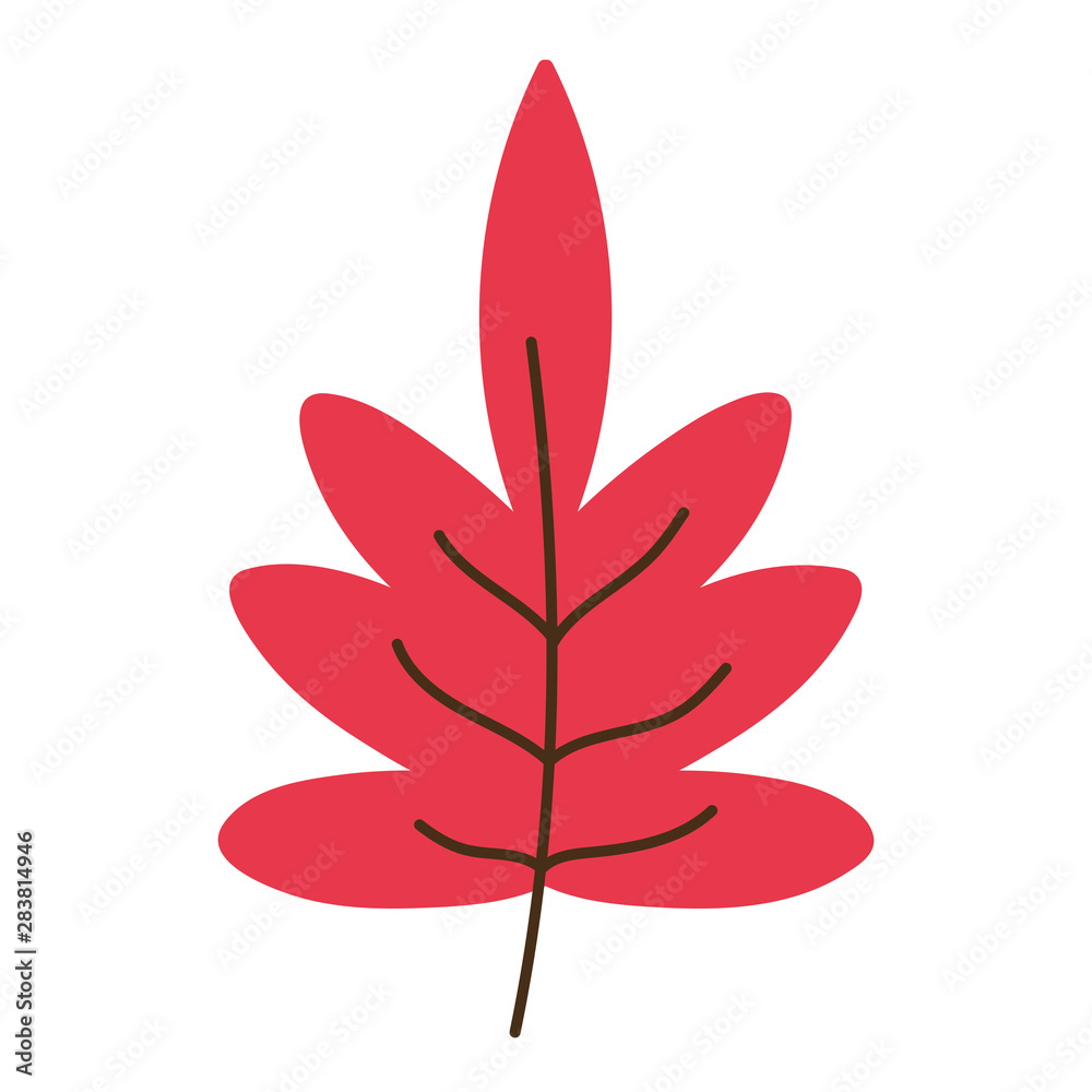 Isolated leaf vector design vector illustration Isolated leaf vector design vector illustration
