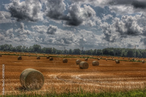 Obraz na płótnie 2012 - Haybale Heaven 