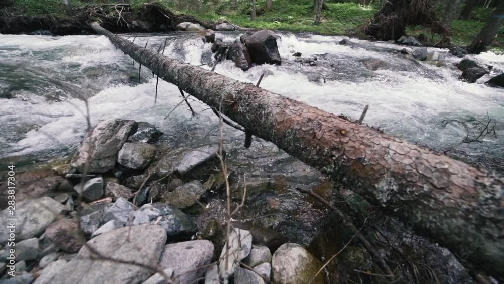 Mountain River with Rocks in wood, slow motion footage, Dolomites, South Tyrol, Italy Mountain River with Rocks in wood, slow motion footage, Dolomites, South Tyrol, Italy