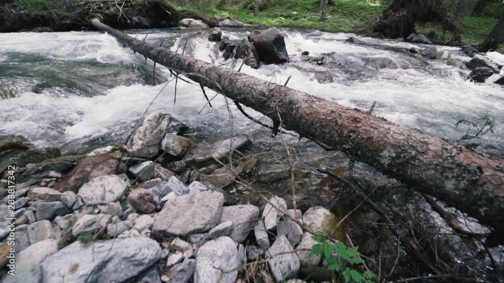 Mountain River with Rocks in wood, slow motion footage, Dolomites, South Tyrol, Italy Mountain River with Rocks in wood, slow motion footage, Dolomites, South Tyrol, Italy