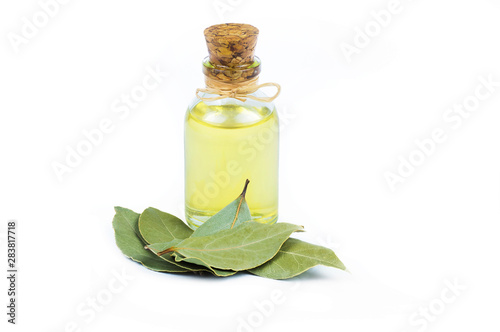 Fotografie, Obraz glass bottle of essential bay laurel oil with daphne leaves isolated on white background