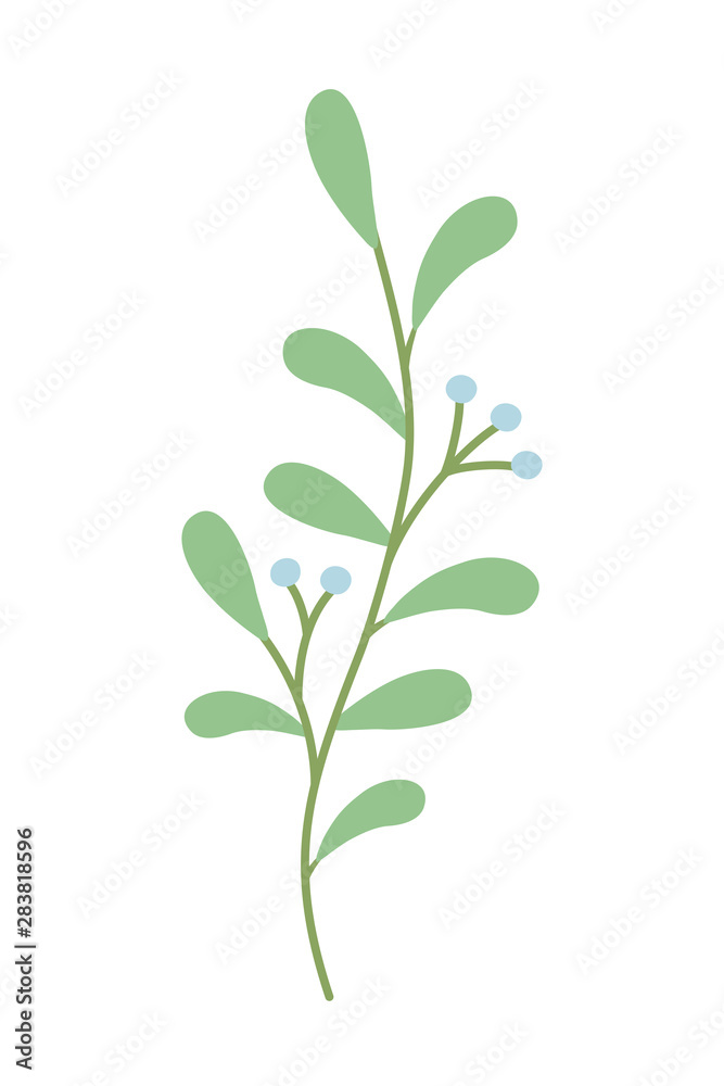 Isolated rustic leaves design vector illustration