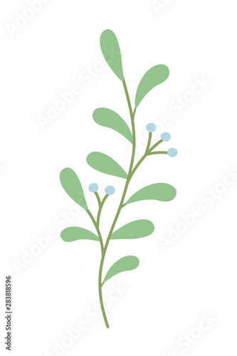 Isolated rustic leaves design vector illustration