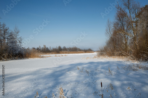 Fototapeta Naklejka Na Ścianę i Meble -  winter rural landscape with snowy trees and blue sky