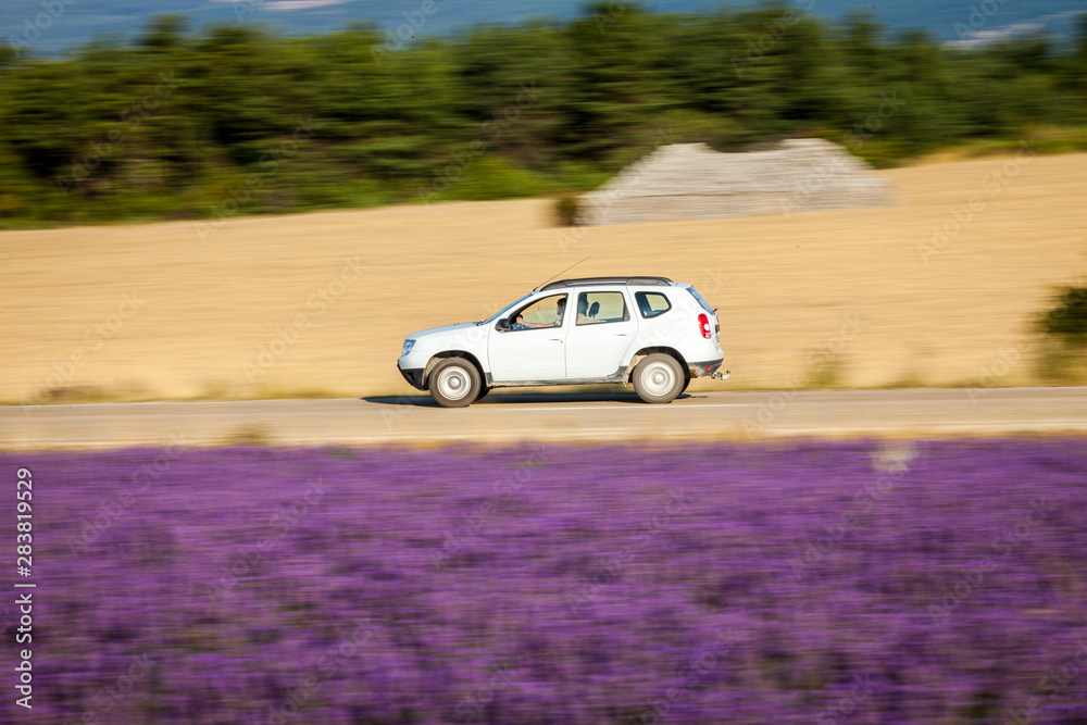 Motion blur image of the car which travells through countryside with lavender fields in Provence, France