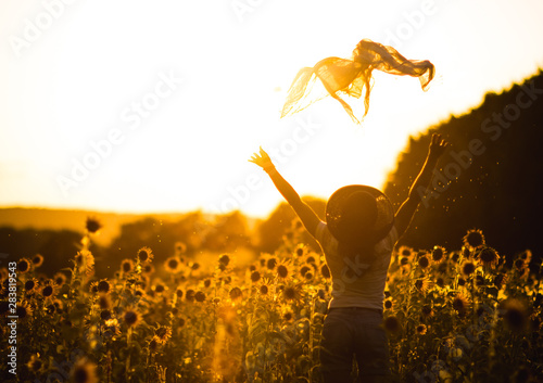 Young beautiful girl on a sunflower field at sunset. Beautiful photo on the screen saver