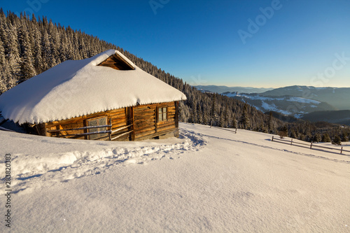 Human footprint path in white deep snow leading to small old wooden forsaken shepherd hut in mountain valley, spruce forest, woody dark hills, bright sun on clear blue sky copy space background.