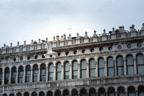 A building on St. Mark's Square in Venice with a seagull flying past him. With free space for inscription © Makulov