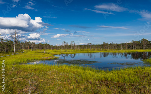 Viru bog in Lahemaa National Park  Estonia