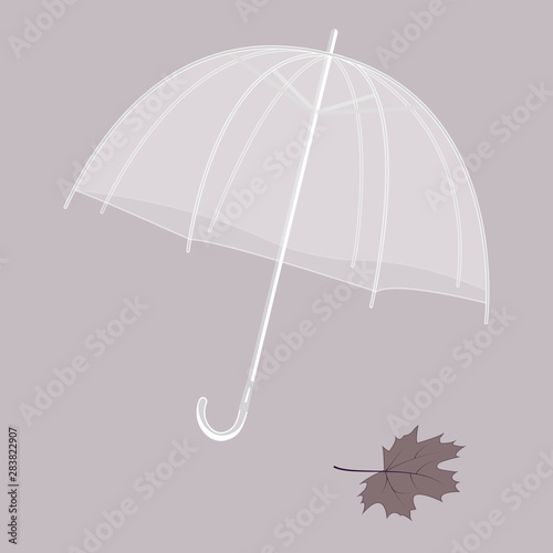 Umbrella white transparent and autumn leaf - isolated on a light background - vector