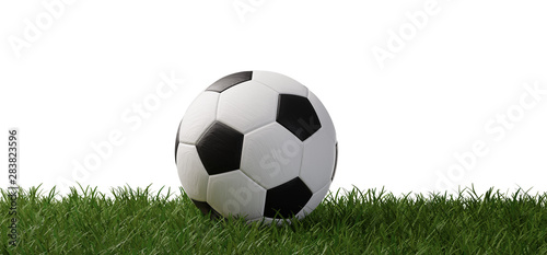 soccer ball on grass 3d-illustration isolated on white
