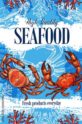 Seafood crab, ocean food products store sketch