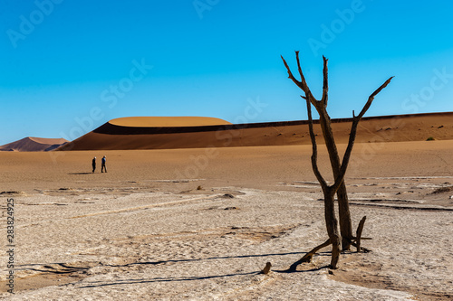 Dead Trees against against the red backdrop of the towering sand dunes of Namibia's Deadvlei