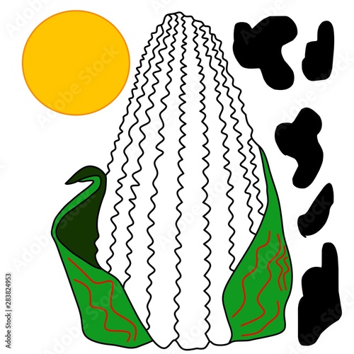 Illustration corn  of an abstract background