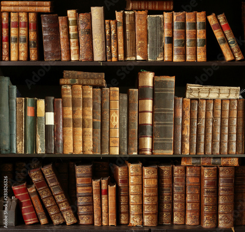 Wallpaper Mural old books on wooden shelf Torontodigital.ca