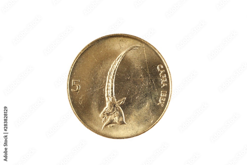 A gold, Slovenian five tolar coin, shot in close up macro, isolated on a white background