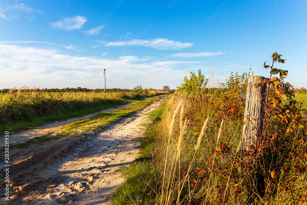Obraz premium Sand path near Wiesmoor