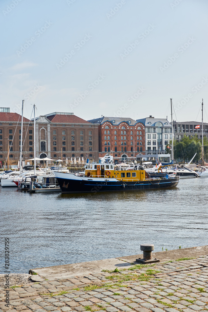 Fototapeta premium group of ships moored in the port