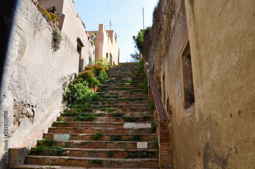 Rustic Steps in Europe © Rebecca