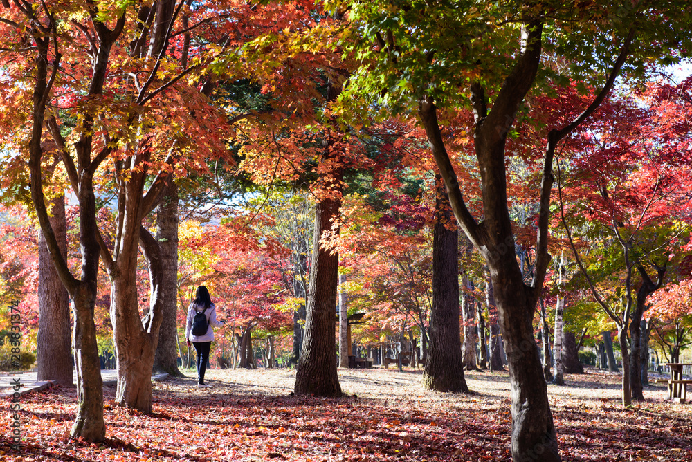 Fotografie people activity in autumn park