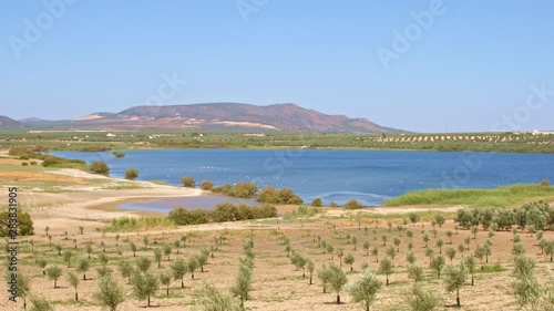 Landscape of lagoon surrounded by olive groves, farms and cropfields, with a beautiful mountain at background.  Natural reserve for aquatic birds and other wild animals in andalusian wetland ecosystem