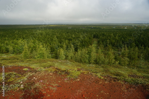 Beautiful landscape with trees near volcanic crater in Iceland