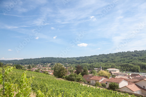 Panorama of Saint Savin  small French village of Isere  in the Dauphine province  with medieval catholic church   other historic building seen from vineyards of the village used for wine production
