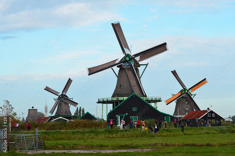 Fototapeta premium Windmill is a symbol of The Netherlands