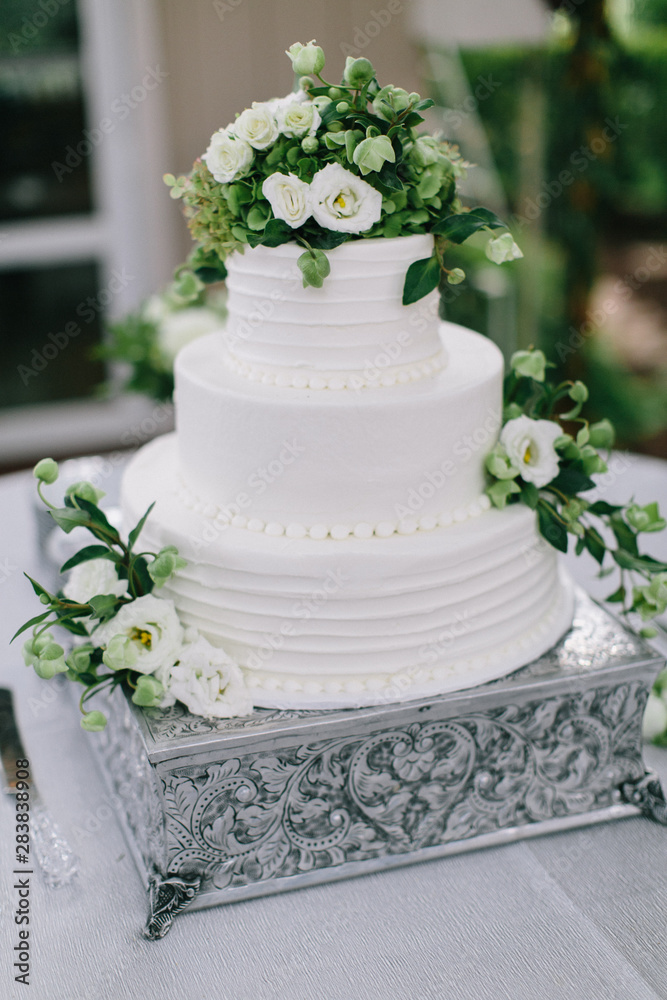 bride and groom cutting white wedding cake with green and white flowers, three tiered cake, silver cake stand, outdoor wedding reception bride and groom cutting white wedding cake with green and white flowers, three tiered cake, silver cake stand, outdoor wedding reception